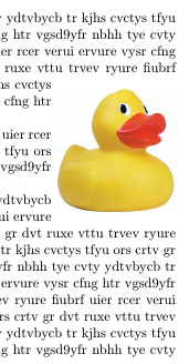 Sample duck